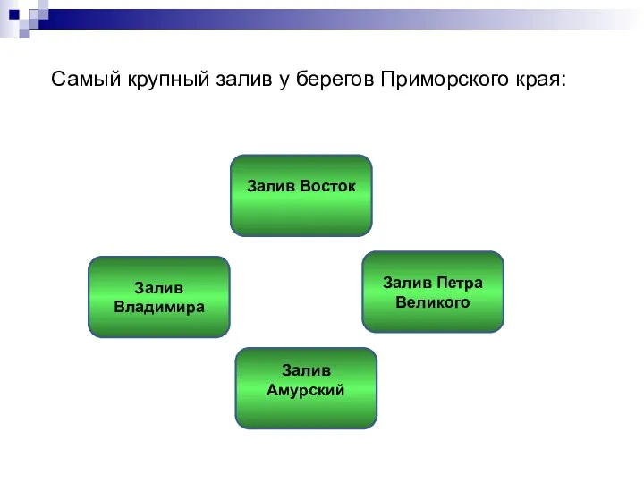 Самый крупный залив у берегов Приморского края: Залив Петра Великого Залив Восток Залив Владимира Залив Амурский