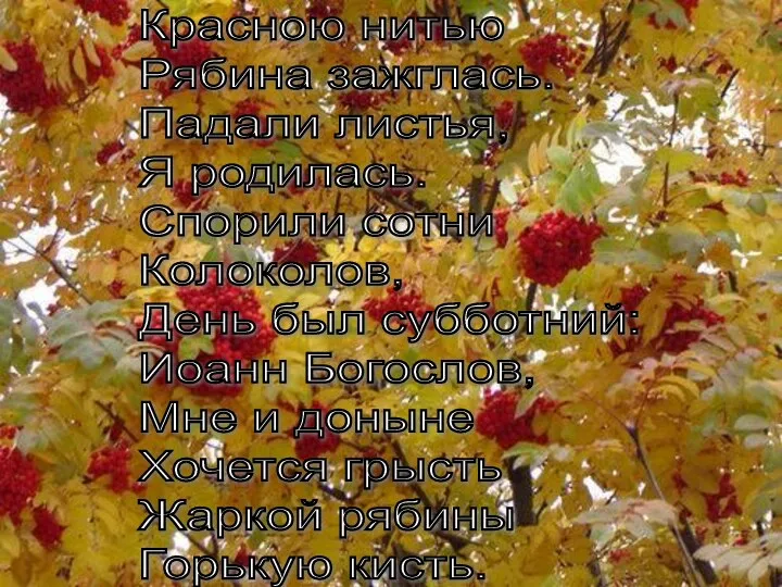 Красною нитью Рябина зажглась. Падали листья, Я родилась. Спорили сотни