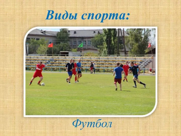 Виды спорта: Футбол