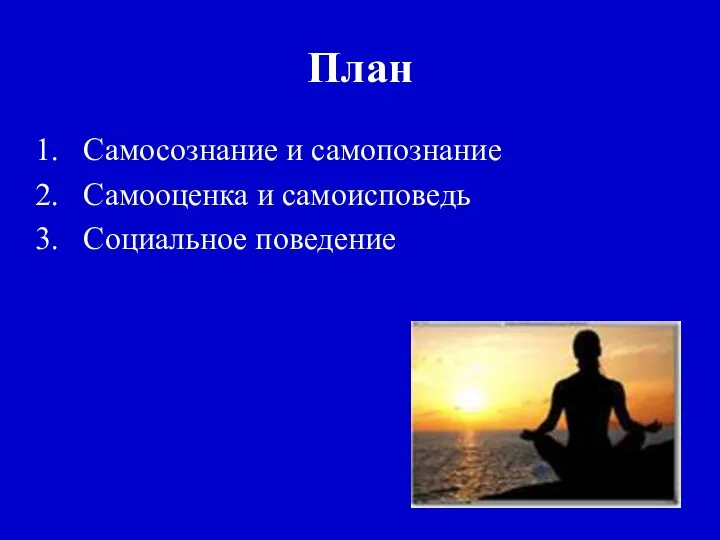 План Самосознание и самопознание Самооценка и самоисповедь Социальное поведение