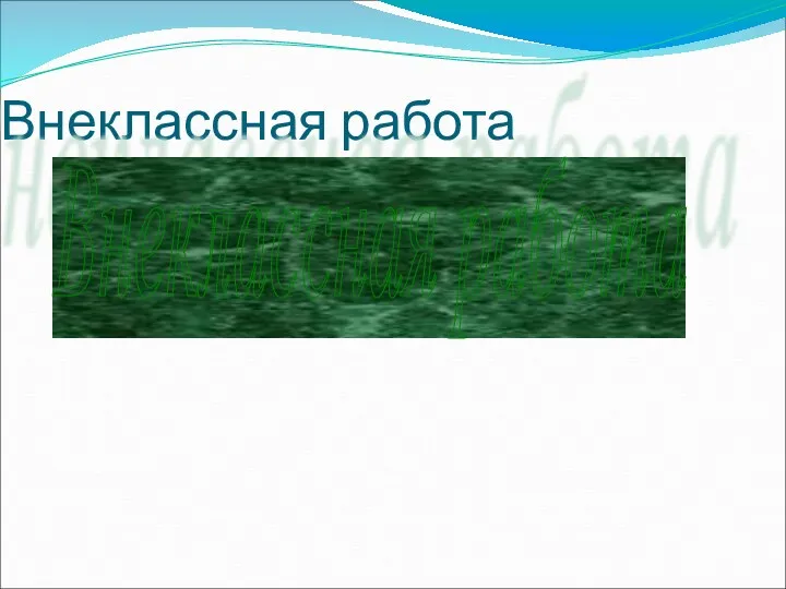 Внеклассная работа Внеклассная работа