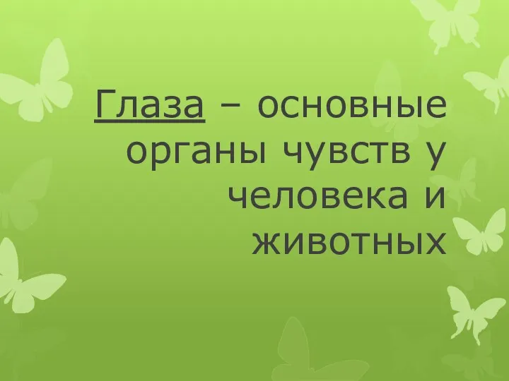 Глаза – основные органы чувств у человека и животных