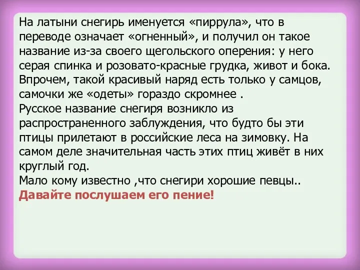 На латыни снегирь именуется «пиррула», что в переводе означает «огненный»,