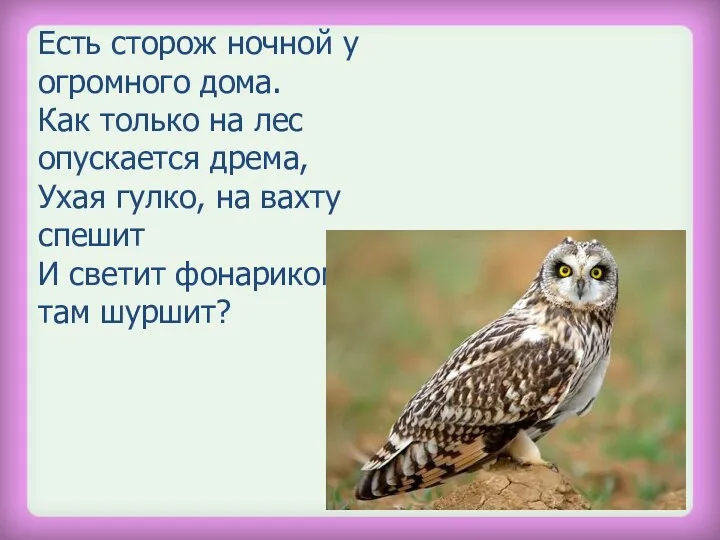 Есть сторож ночной у огромного дома. Как только на лес