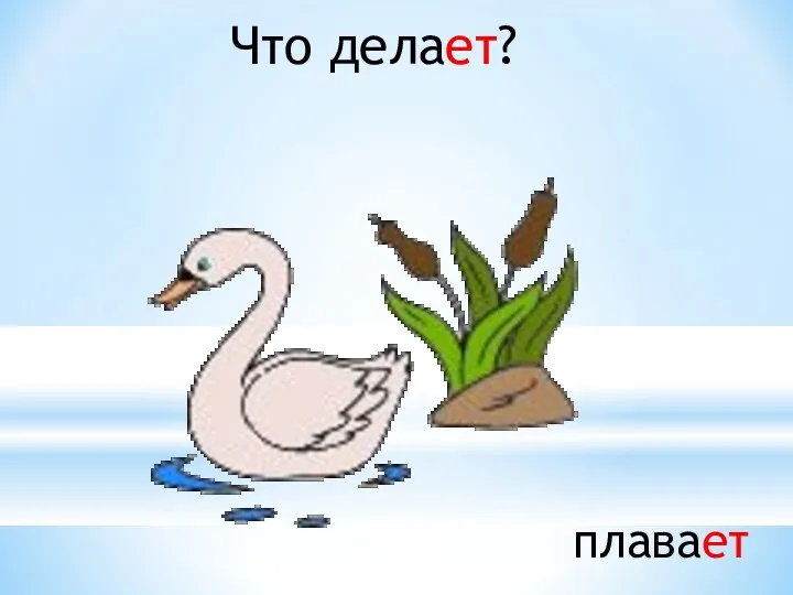 Что делает? плавает