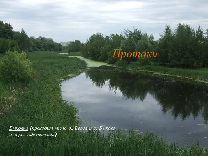 Протоки Быковка (проходит мимо д. Верея и с. Быково и через г.Жуковский)