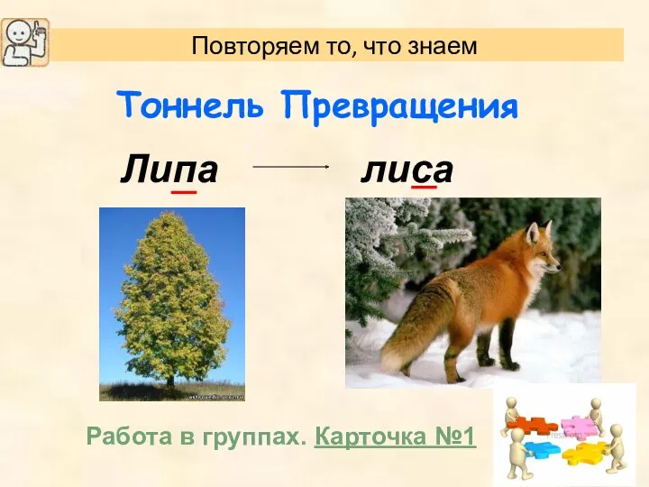 Тоннель Превращения Липа лиса Работа в группах. Карточка №1