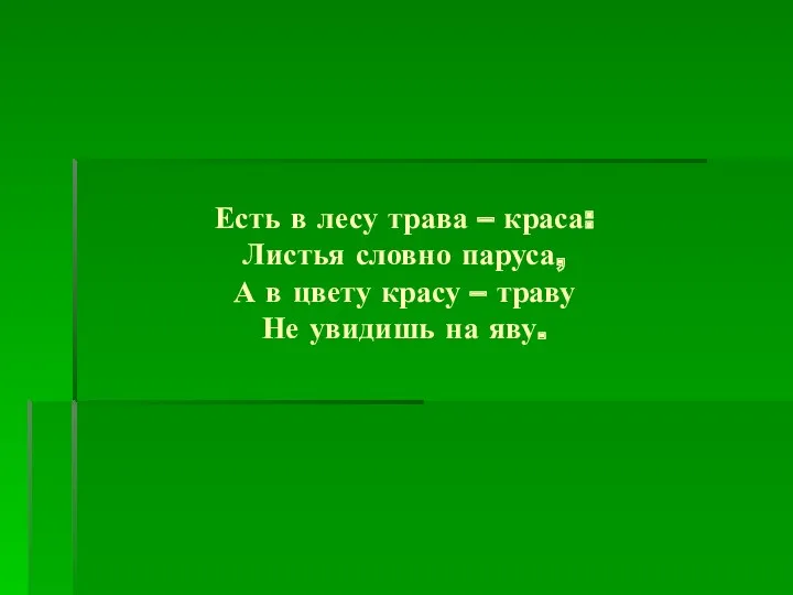 Есть в лесу трава – краса: Листья словно паруса, А