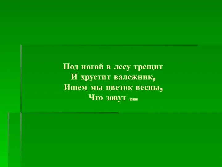 Под ногой в лесу трещит И хрустит валежник, Ищем мы цветок весны, Что зовут …