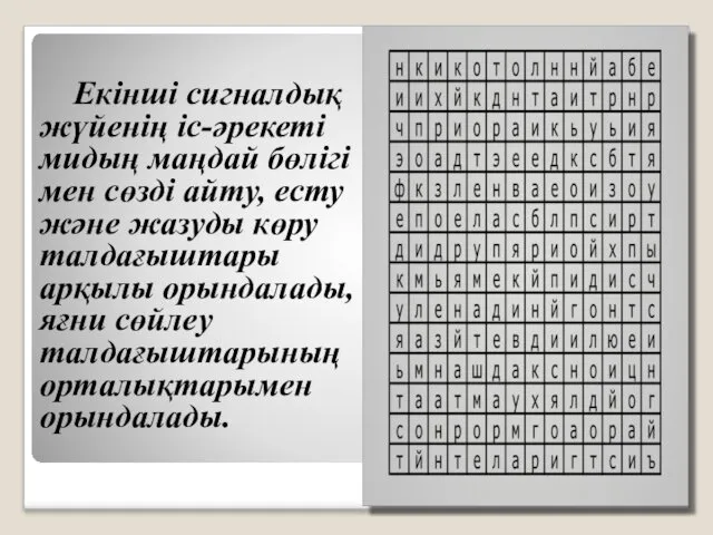 Екінші сигналдық жүйенің іс-әрекеті мидың маңдай бөлігі мен сөзді айту,