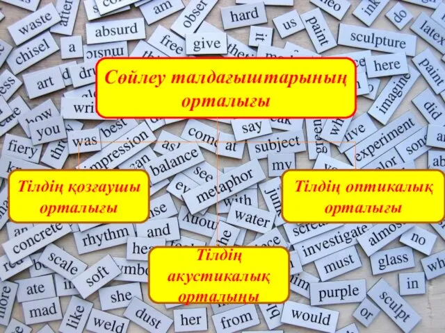 Сөйлеу талдағыштарының орталығы Тілдің қозғаушы орталығы Тілдің акустикалық орталыңы Тілдің оптикалық орталығы