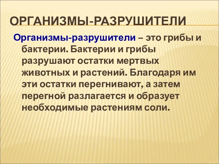 ОРГАНИЗМЫ-РАЗРУШИТЕЛИ Организмы-разрушители – это грибы и бактерии. Бактерии и грибы