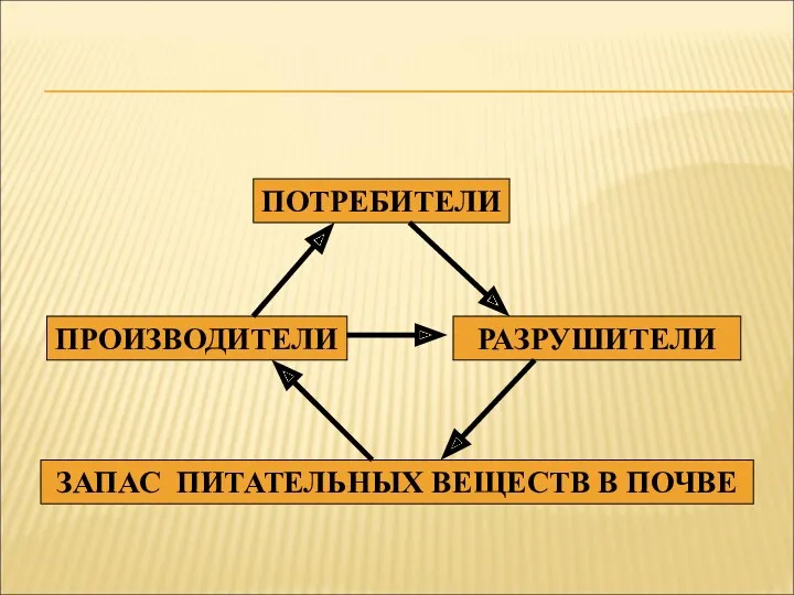 ПОТРЕБИТЕЛИ РАЗРУШИТЕЛИ ПРОИЗВОДИТЕЛИ ЗАПАС ПИТАТЕЛЬНЫХ ВЕЩЕСТВ В ПОЧВЕ