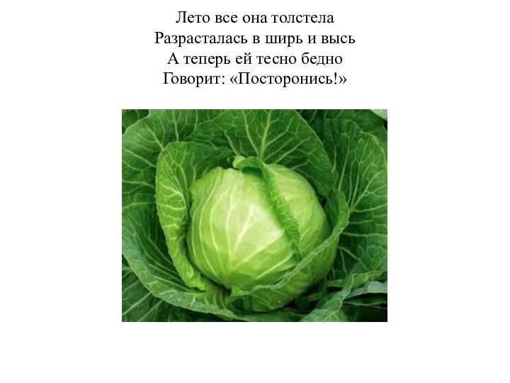 Лето все она толстела Разрасталась в ширь и высь А теперь ей тесно бедно Говорит: «Посторонись!»
