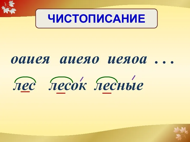 лесок лесные ЧИСТОПИСАНИЕ оаиея аиеяо иеяоа . . . лес