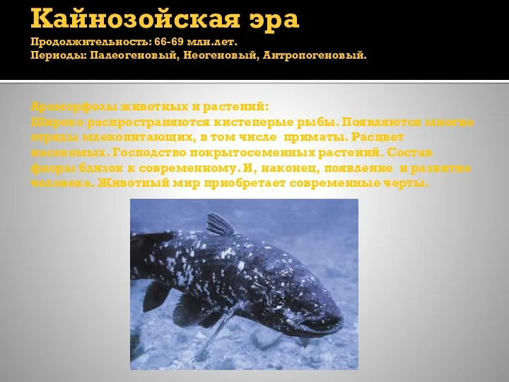 Кайнозойская эра Продолжительность: 66-69 млн.лет. Периоды: Палеогеновый, Неогеновый, Антропогеновый. Ароморфозы