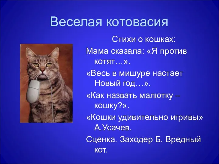 Веселая котовасия Стихи о кошках: Мама сказала: «Я против котят…».
