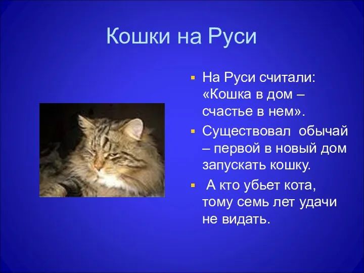 Кошки на Руси На Руси считали: «Кошка в дом –