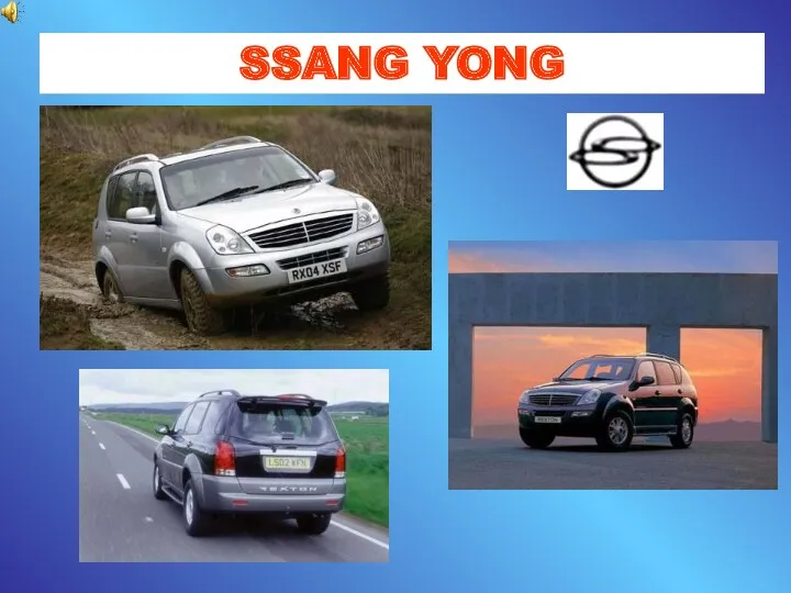 SSANG YONG