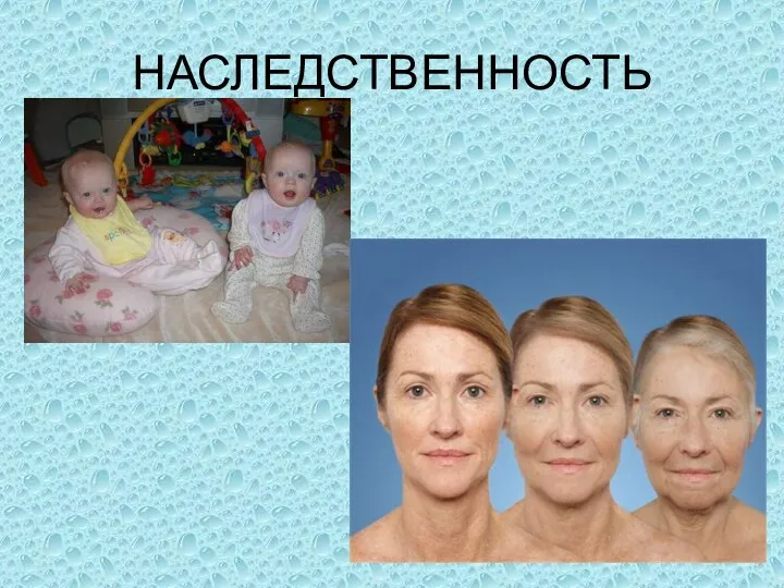 НАСЛЕДСТВЕННОСТЬ