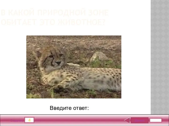 Далее 4 Задание 1 бал. Введите ответ: В какой природной зоне обитает это животное?