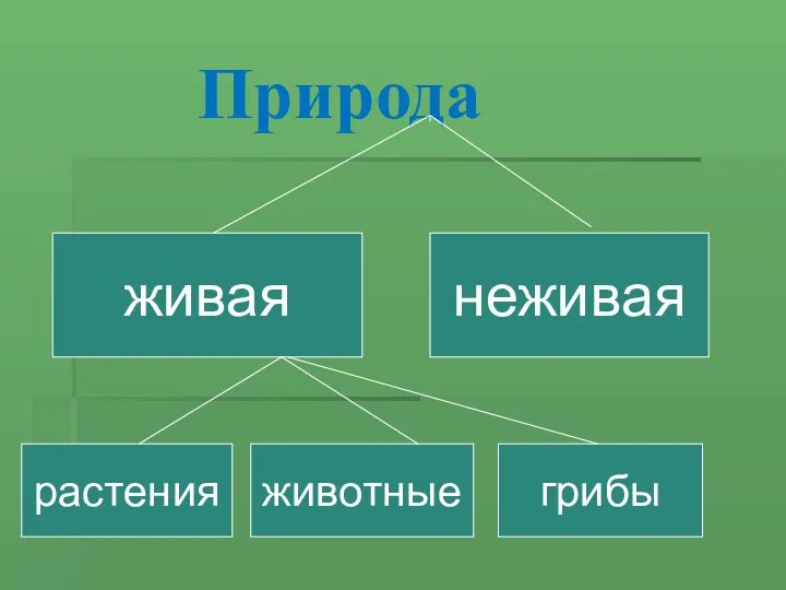Природа живая неживая растения животные грибы