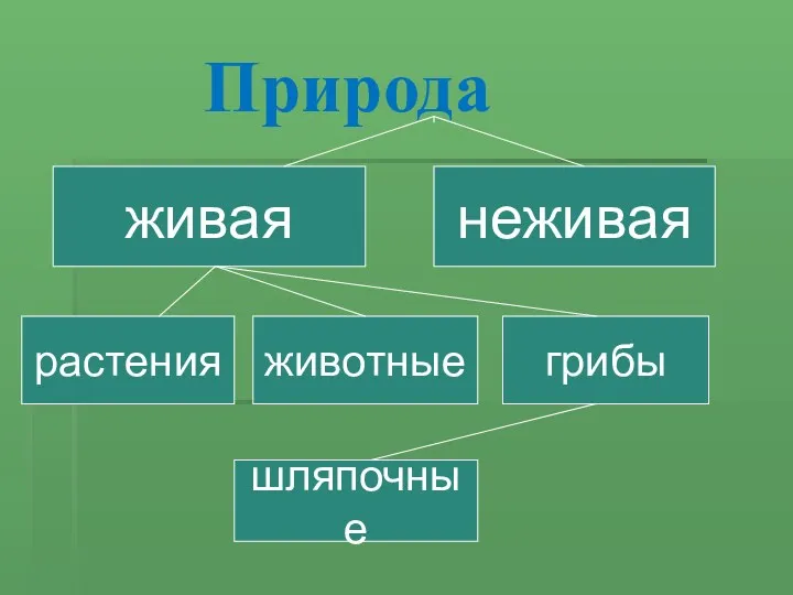 Природа живая неживая растения животные грибы шляпочные