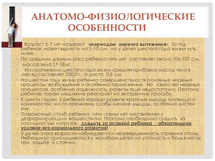 Анатомо-физиологические особенности Возраст 5-7 лет называют «периодом первого вытяжения». За