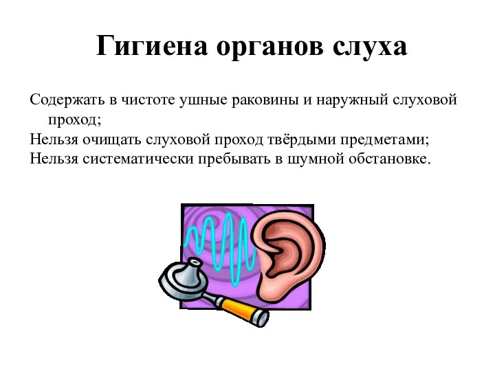 Гигиена органов слуха Содержать в чистоте ушные раковины и наружный