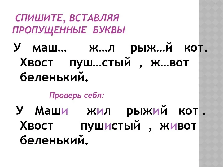 Спишите, вставляя пропущенные буквы У маш… ж…л рыж…й кот. Хвост