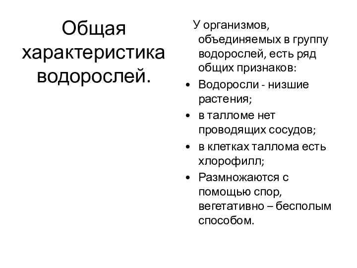 Общая характеристика водорослей. У организмов, объединяемых в группу водорослей, есть