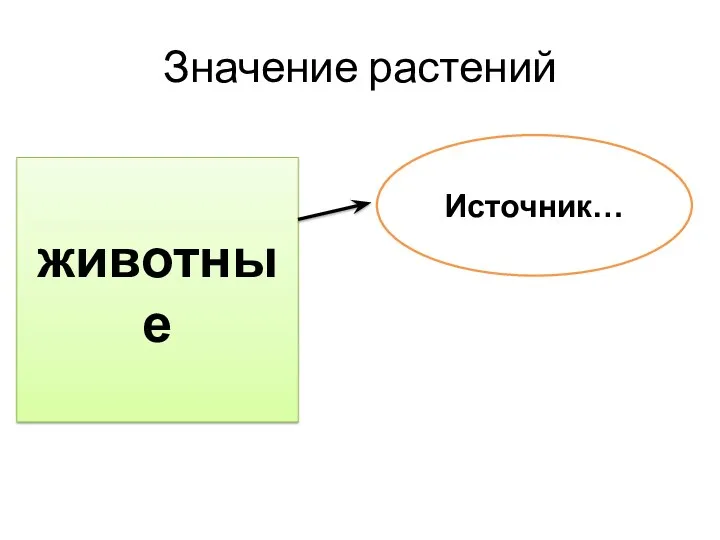 Значение растений животные Источник…