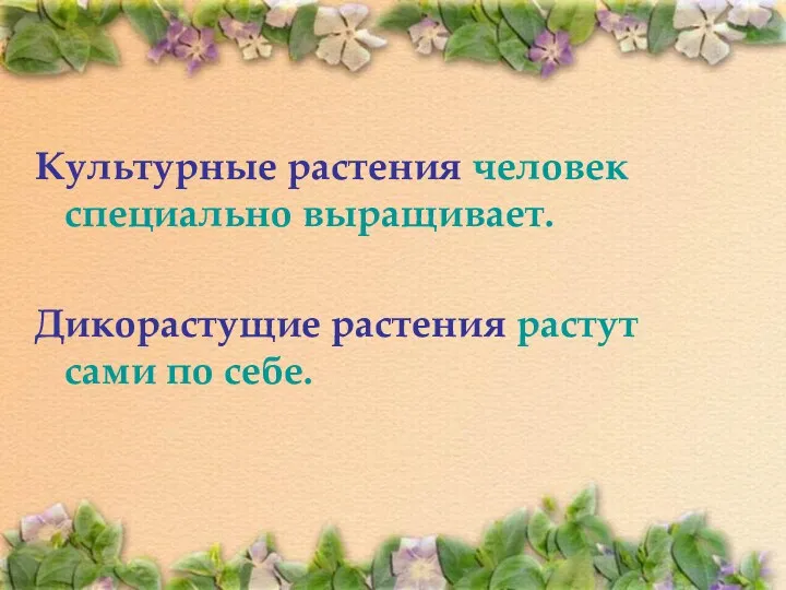 Культурные растения человек специально выращивает. Дикорастущие растения растут сами по себе. Вывод: