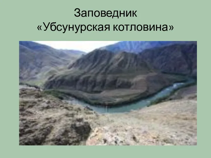 Заповедник «Убсунурская котловина»