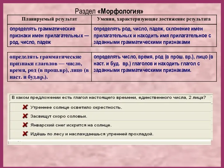 Раздел «Морфология»