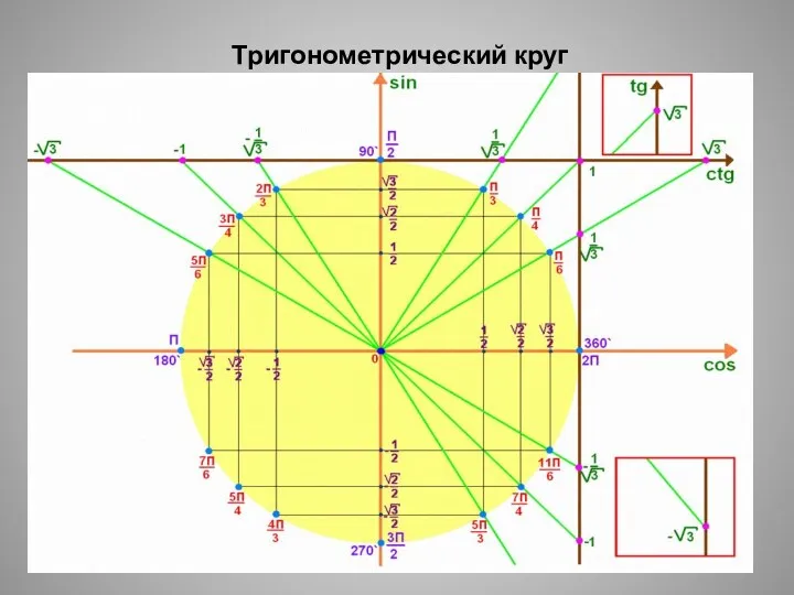 Тригонометрический круг