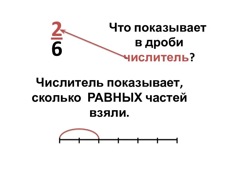 Что показывает в дроби числитель? 2 6 Числитель показывает, сколько РАВНЫХ частей взяли.