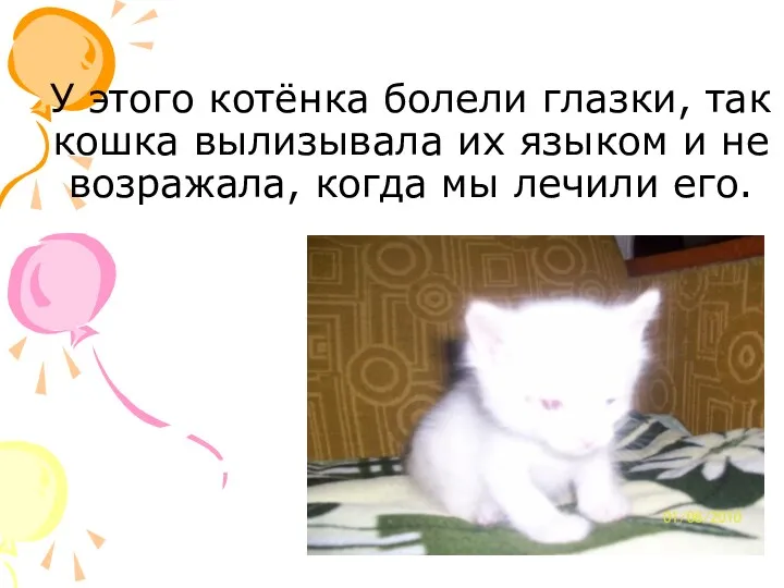 У этого котёнка болели глазки, так кошка вылизывала их языком