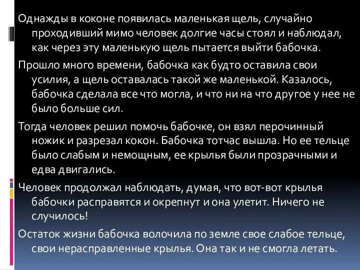 Однажды в коконе появилась маленькая щель, случайно проходивший мимо человек