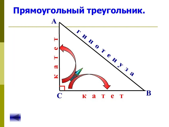 Прямоугольный треугольник. А В С г и п о т е н у