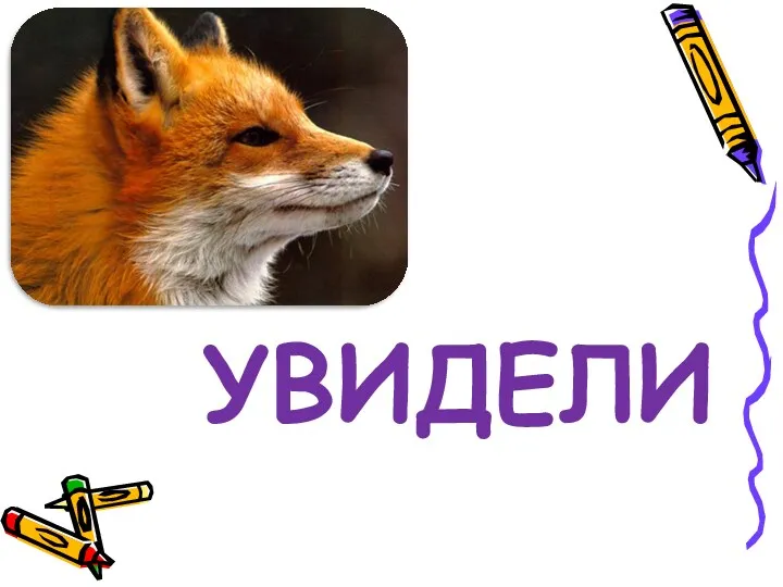 УВИДЕЛИ