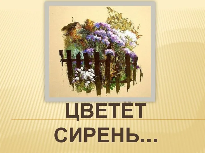 Цветёт сирень…