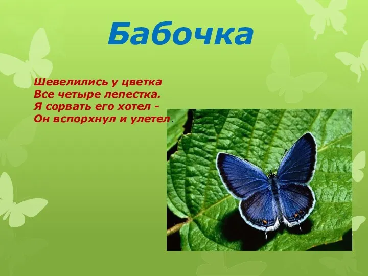 Бабочка Шевелились у цветка Все четыре лепестка. Я сорвать его хотел - Он вспорхнул и улетел.