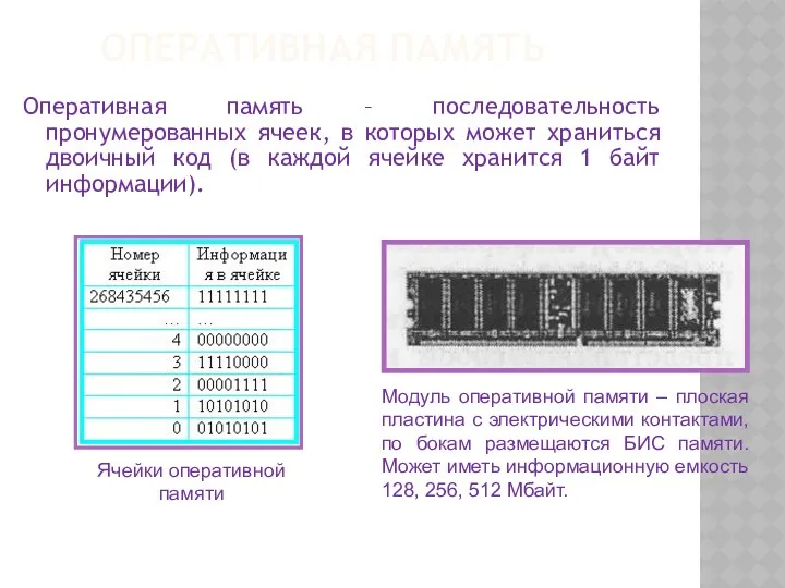 ОПЕРАТИВНАЯ ПАМЯТЬ Оперативная память – последовательность пронумерованных ячеек, в которых