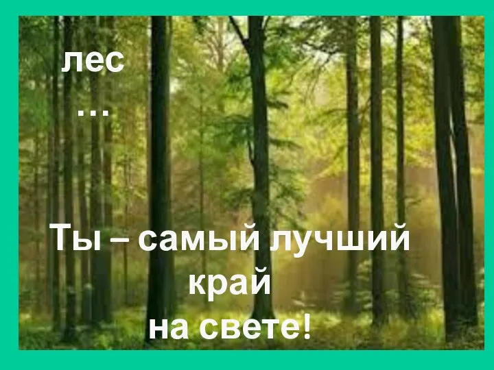 лес … Ты – самый лучший край на свете!