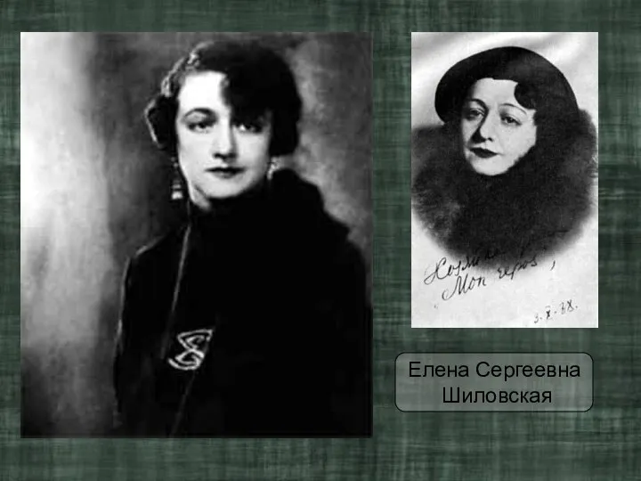 Елена Сергеевна Шиловская