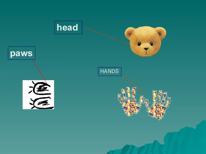 head paws HANDS