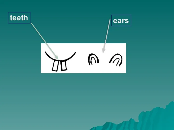teeth ears