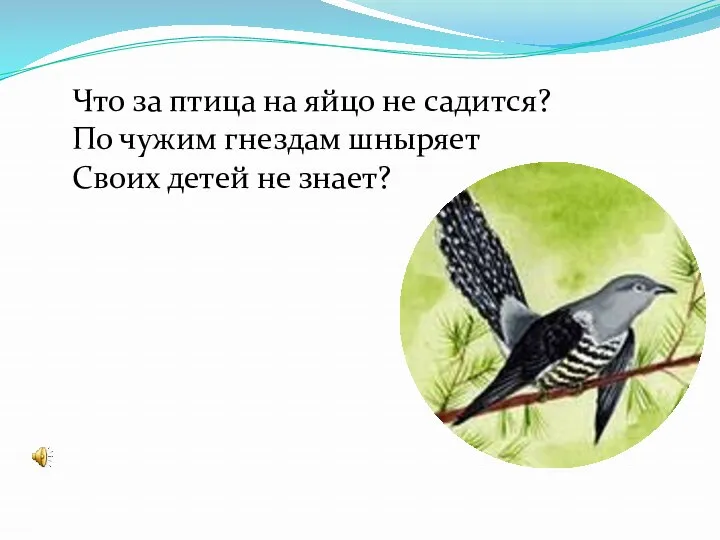 Что за птица на яйцо не садится? По чужим гнездам шныряет Своих детей не знает?