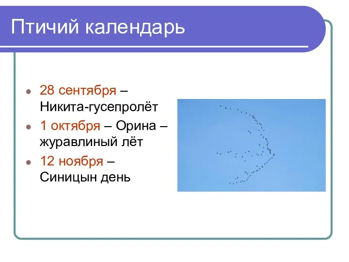 Птичий календарь 28 сентября – Никита-гусепролёт 1 октября – Орина – журавлиный лёт